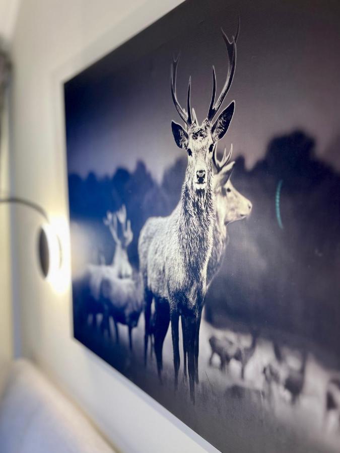 Wohlbfinden2 Appartementhaus Braunlage Eksteriør bilde