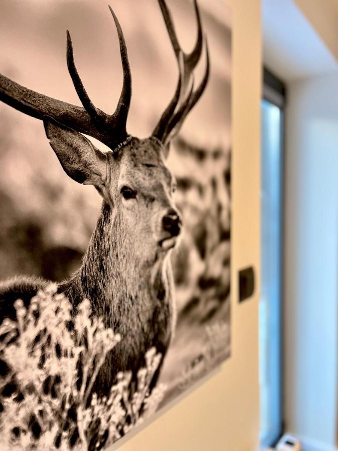 Wohlbfinden2 Appartementhaus Braunlage Eksteriør bilde